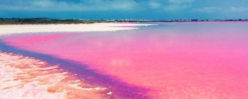 粉色沙滩是怎么形成的（粉色沙滩的沙子为什么是粉色的）