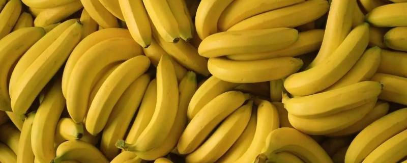 香蕉最中间里面黑了还能吃吗 香蕉中间黑了还能吃吗?