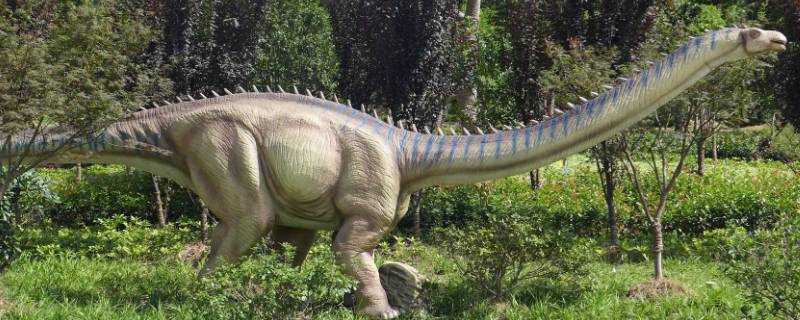 白垩纪恐龙有哪些 白垩纪恐龙有哪些特征