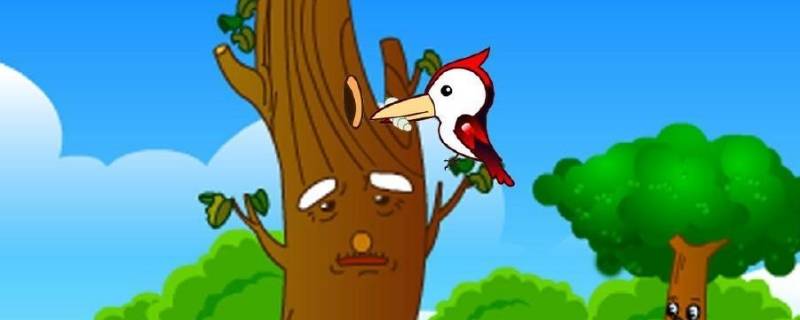 啄木鸟啄树的真正原因 啄木鸟啄树是为了什么