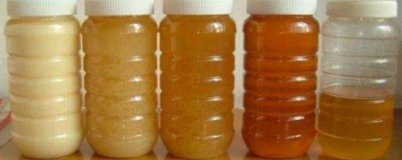 蜂蜜应该怎样保存 蜂蜜应该如何保存