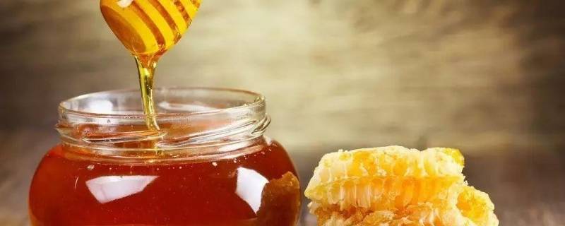 蜂蜜和蜂王浆有什么区别 蜂王蜜和蜂王浆的区别