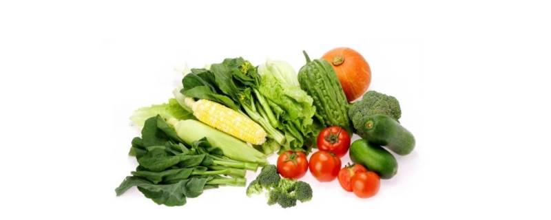 叶菜类蔬菜有哪些 叶菜类蔬菜有哪些种类