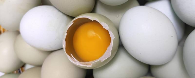为什么鸡蛋在盐水中会浮起来（为什么鸡蛋会从盐水中浮起来）