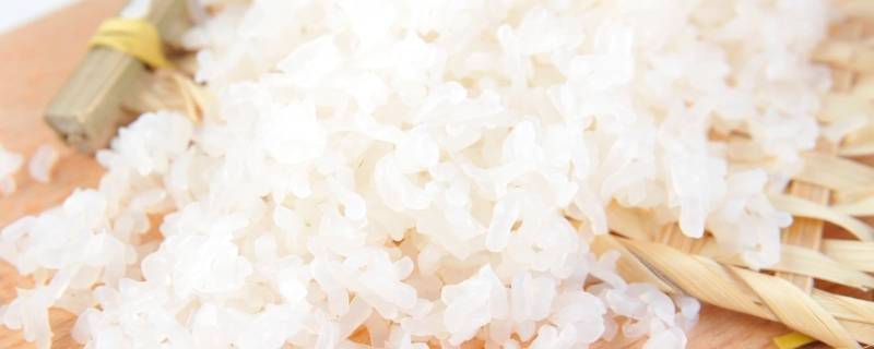 魔芋米可以长期代替米饭吗（魔芋能代替米饭吗）