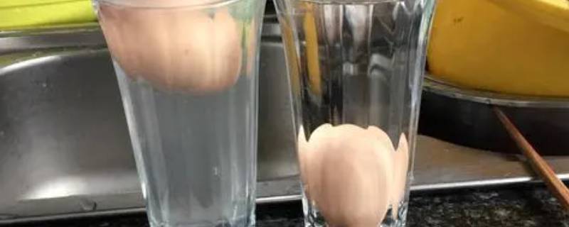 生鸡蛋怎么在水里浮起来 生鸡蛋怎么在水里浮起来的作文