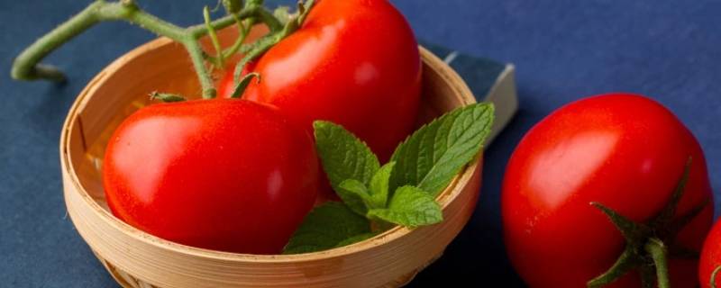 番茄营养 番茄营养成分