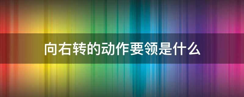 向右转的动作要领是什么 向右转的动作要领是什么视频