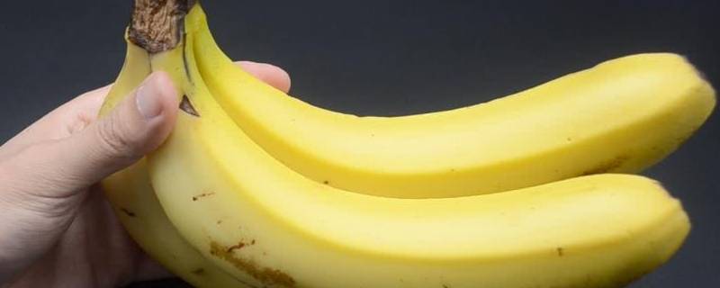 香蕉能不能放冰箱（香蕉能不能放冰箱里保存?）