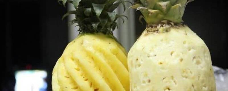 凤梨和菠萝怎么区分（怎样区分凤梨和菠萝）