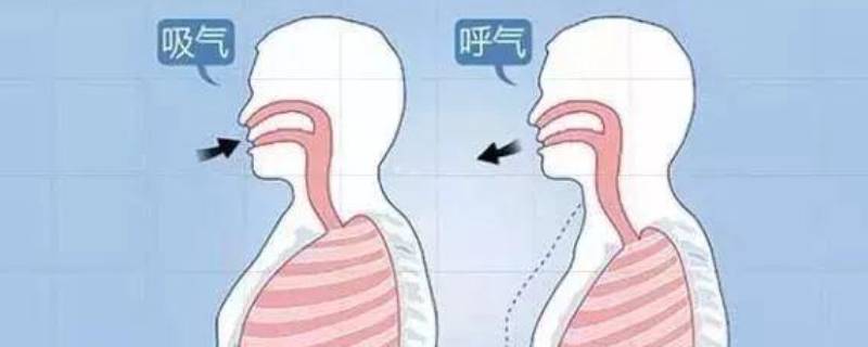 人体呼吸过程（人体呼吸过程的三个环节）