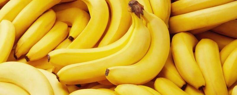 进口香蕉和国产香蕉区别（进口香蕉和国产香蕉区别图片香蕉商标写着fm什么意思）