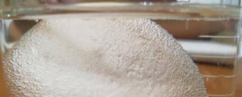 为什么醋泡鸡蛋鸡蛋壳会变软（为什么将鸡蛋放入醋中时蛋壳会变软）