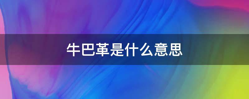 牛巴革是什么意思 牛巴革好吗