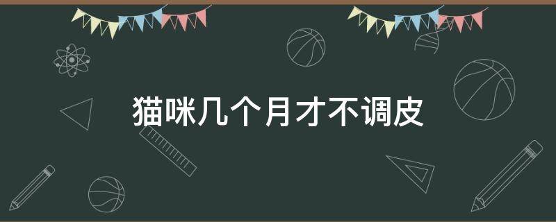 猫咪几个月才不调皮（猫咪多久不调皮）