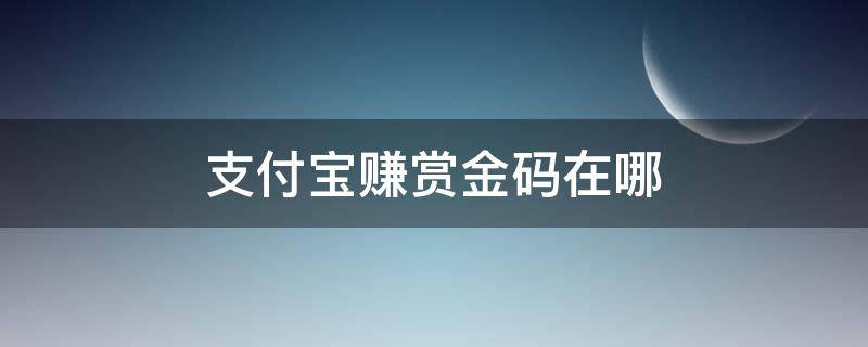 支付宝赚赏金码在哪（支付宝里面赚赏金码在哪）