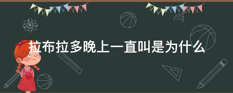 拉布拉多晚上一直叫是为什么（拉布拉多半夜一直叫唤为什么）