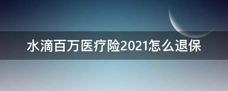 水滴百万医疗险2021怎么退保 水滴百万医疗险2021一年保费多少