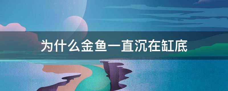 为什么金鱼一直沉在缸底 金鱼在鱼缸里沉底不动什么原因