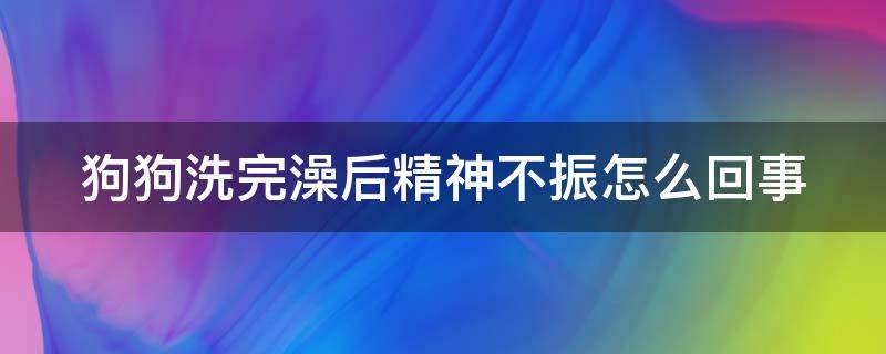 狗狗洗完澡后精神不振怎么回事（狗狗洗完澡不精神不振）