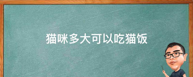 猫咪多大可以吃猫饭 猫咪多大可以吃饭了