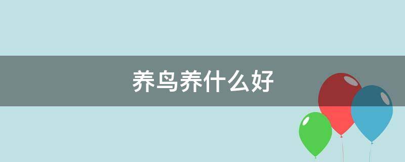 养鸟养什么好（养鸟养什么好鸟有多少种）