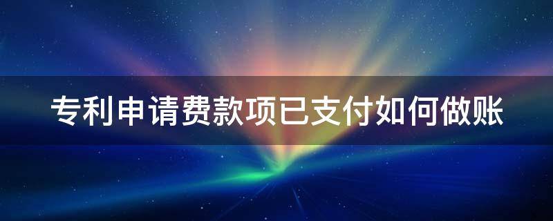 专利申请费款项已支付如何做账（专利申请费款项已支付如何做账务处理）