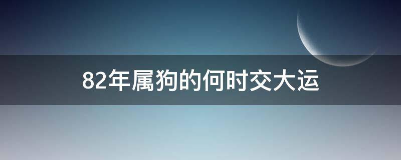 82年属狗的何时交大运（82年属狗何时行大运）