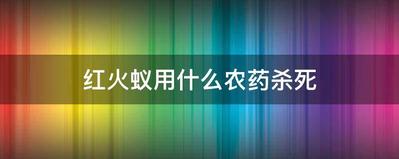 红火蚁用什么农药杀死（红火蚁用什么农药可以消灭）