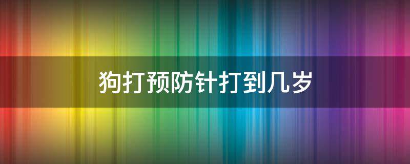 狗打预防针打到几岁 狗狗预防针打到几岁可以不用打了