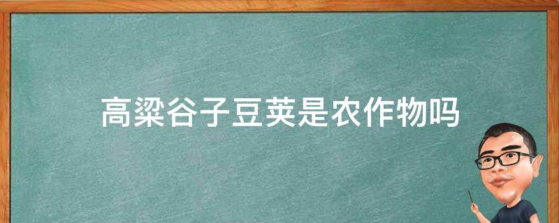 高粱谷子豆荚是农作物吗 稻子小麦高粱玉米大豆属于什么