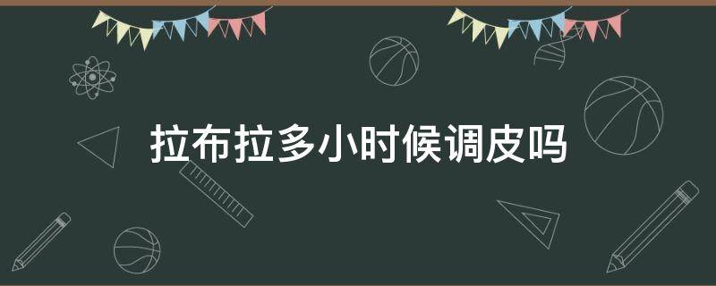 拉布拉多小时候调皮吗 拉布拉多调皮吗?