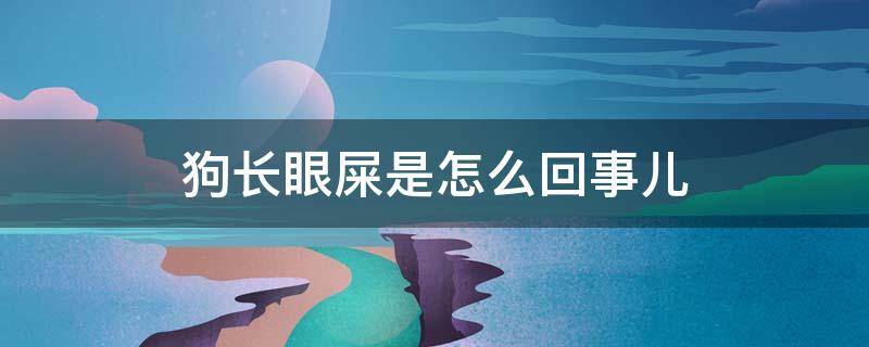 狗长眼屎是怎么回事儿 狗眼里长眼屎怎么回事