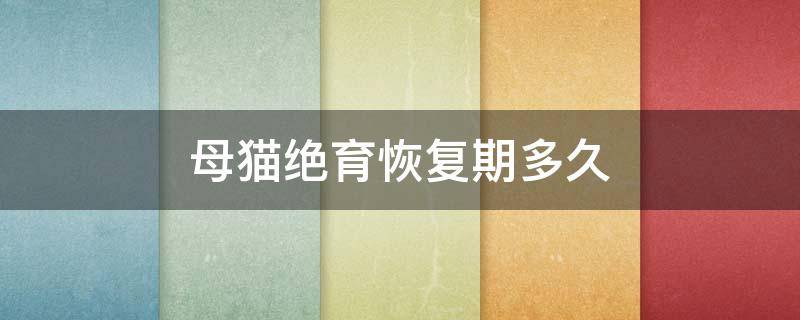 母猫绝育恢复期多久 母猫绝育恢复期多久正常吃饭