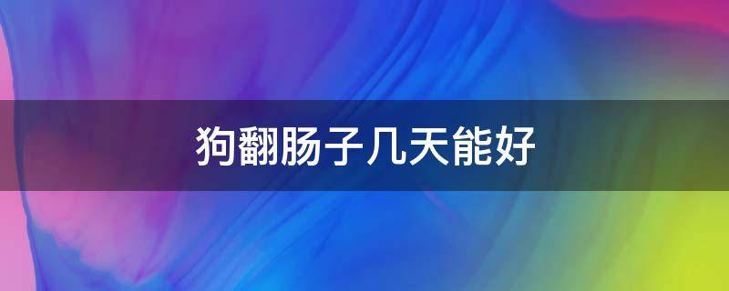 狗翻肠子几天能好 狗狗翻肠子熬几天能活狗狗翻肠子怎么保养