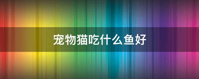 宠物猫吃什么鱼好 给宠物猫吃什么鱼最好