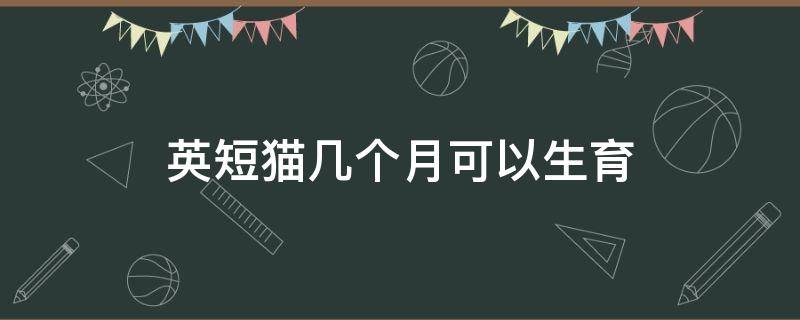 英短猫几个月可以生育 英短猫什么时候可以生育