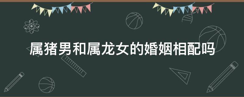 属猪男和属龙女的婚姻相配吗 属猪女跟属龙男婚姻配吗