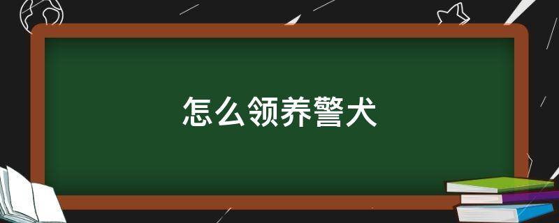 怎么领养警犬（怎么领养警犬后代）