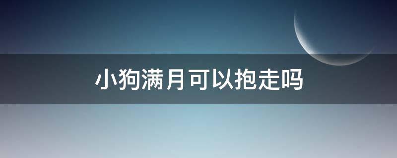 小狗满月可以抱走吗（小狗狗不满月可以抱走吗）