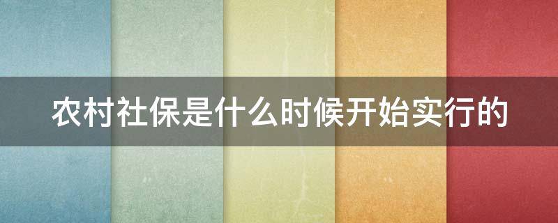 农村社保是什么时候开始实行的（农村社保是哪一年开始实行缴费）