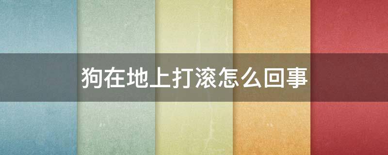 狗在地上打滚怎么回事 狗狗在地上打滚是怎么回事