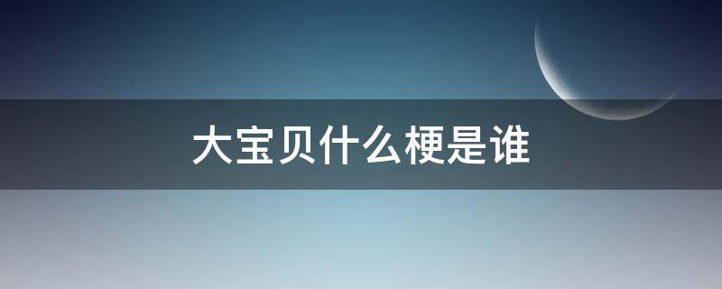 大宝贝什么梗是谁（小宝贝什么梗）