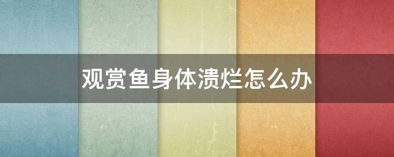 观赏鱼身体溃烂怎么办 观赏鱼身体溃烂怎么治