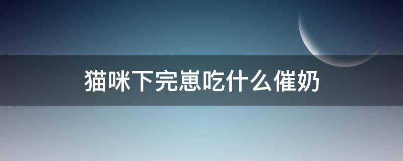 猫咪下完崽吃什么催奶 小猫下崽后 用吃什么可以催奶