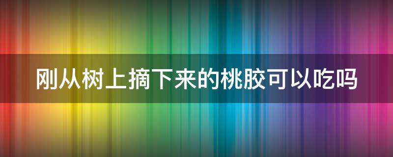 刚从树上摘下来的桃胶可以吃吗（刚从树上摘下来的桃胶可以吃吗视频）