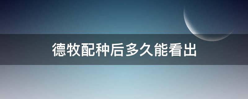 德牧配种后多久能看出 德牧配种后多久能确定