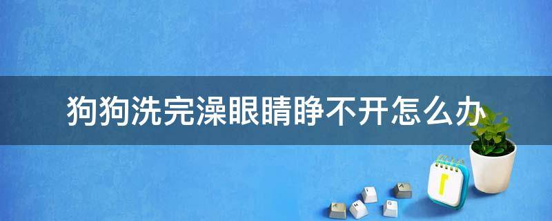 狗狗洗完澡眼睛睁不开怎么办（狗狗洗完澡睁不开眼了怎么办）