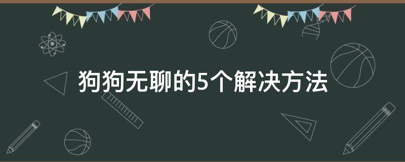 狗狗无聊的5个解决方法（如何解决狗狗在家无聊）