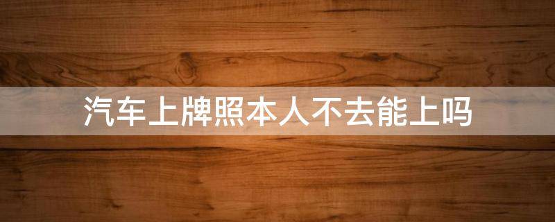 汽车上牌照本人不去能上吗 车辆上牌不用本人去吗